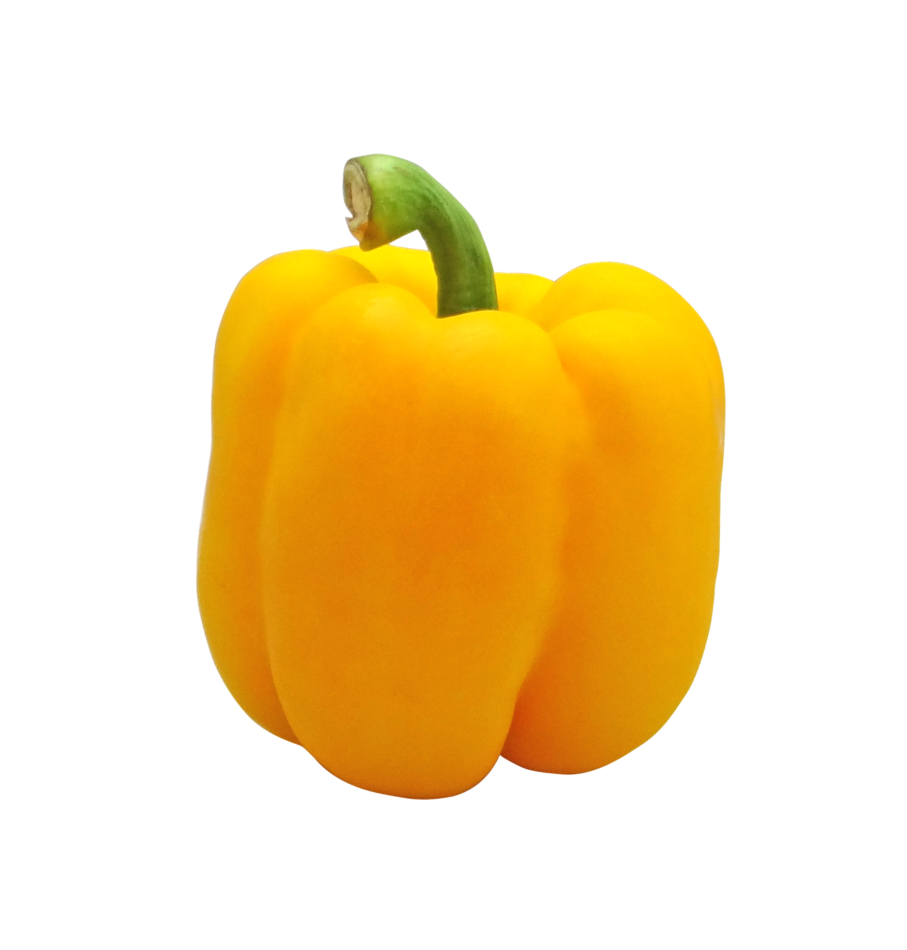 Sweet Pepper Seeds South Africa • Shop Seeds Online • GroPak