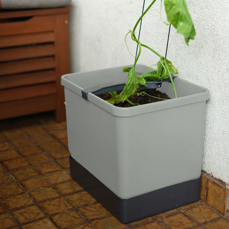 Gusta Curt Cucumber Planter