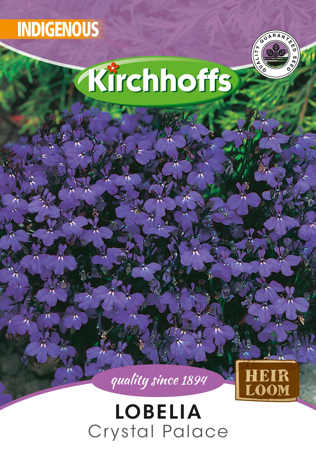 Lobelia Crystal Palace Seed