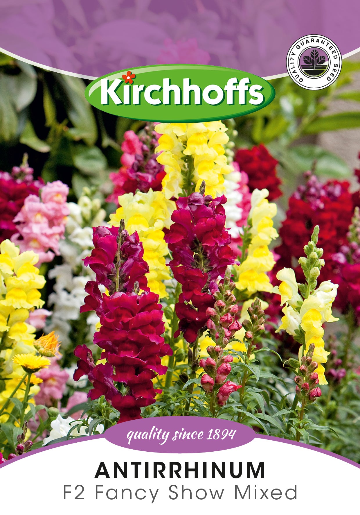 Antirrhinum Tall Deluxe Mix Seed