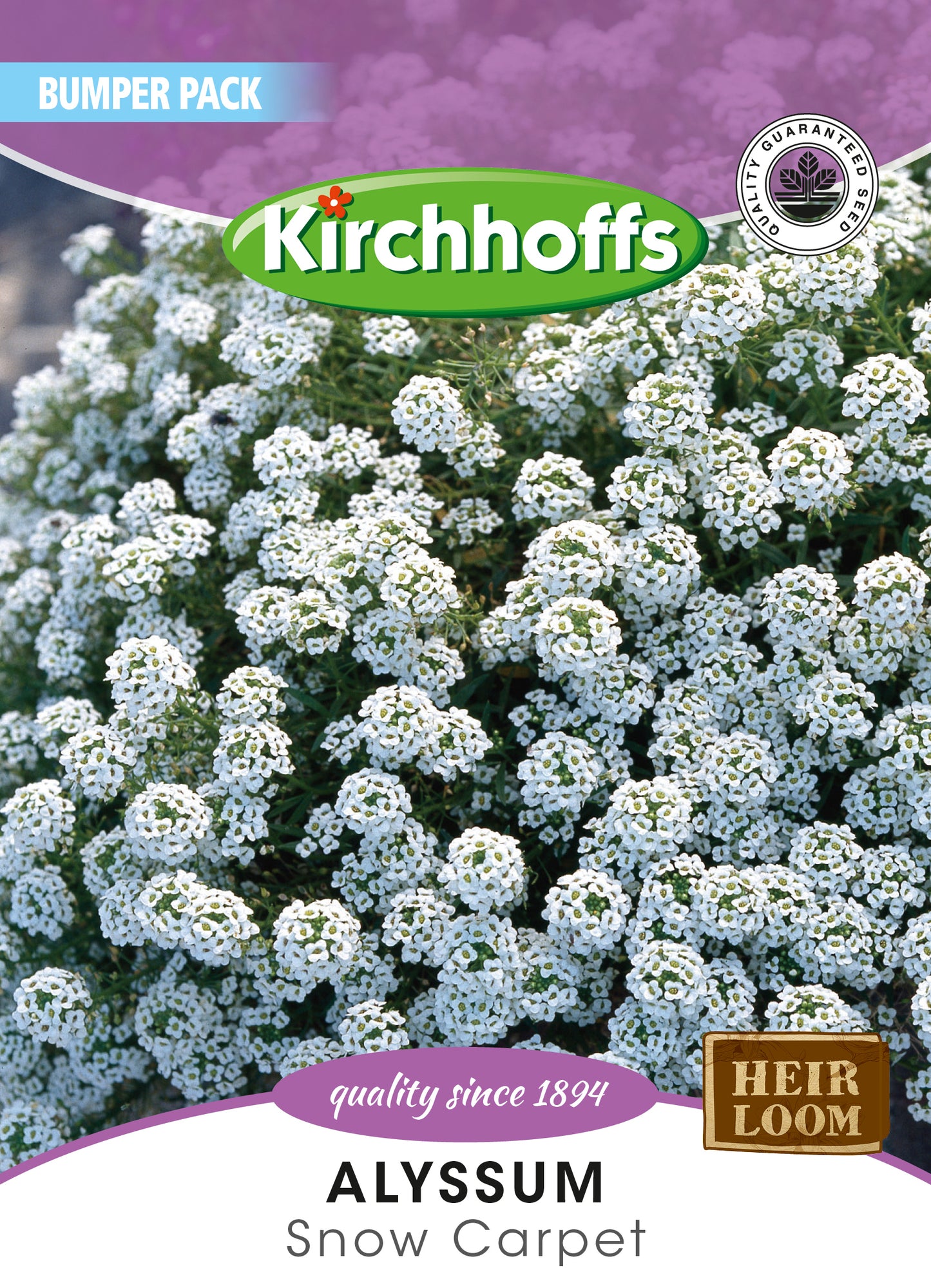 Alyssum Snow Cloth Seed