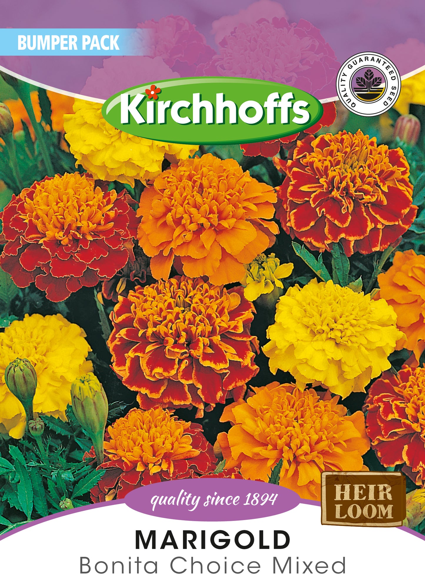 Marigold Bonita Mix Seed