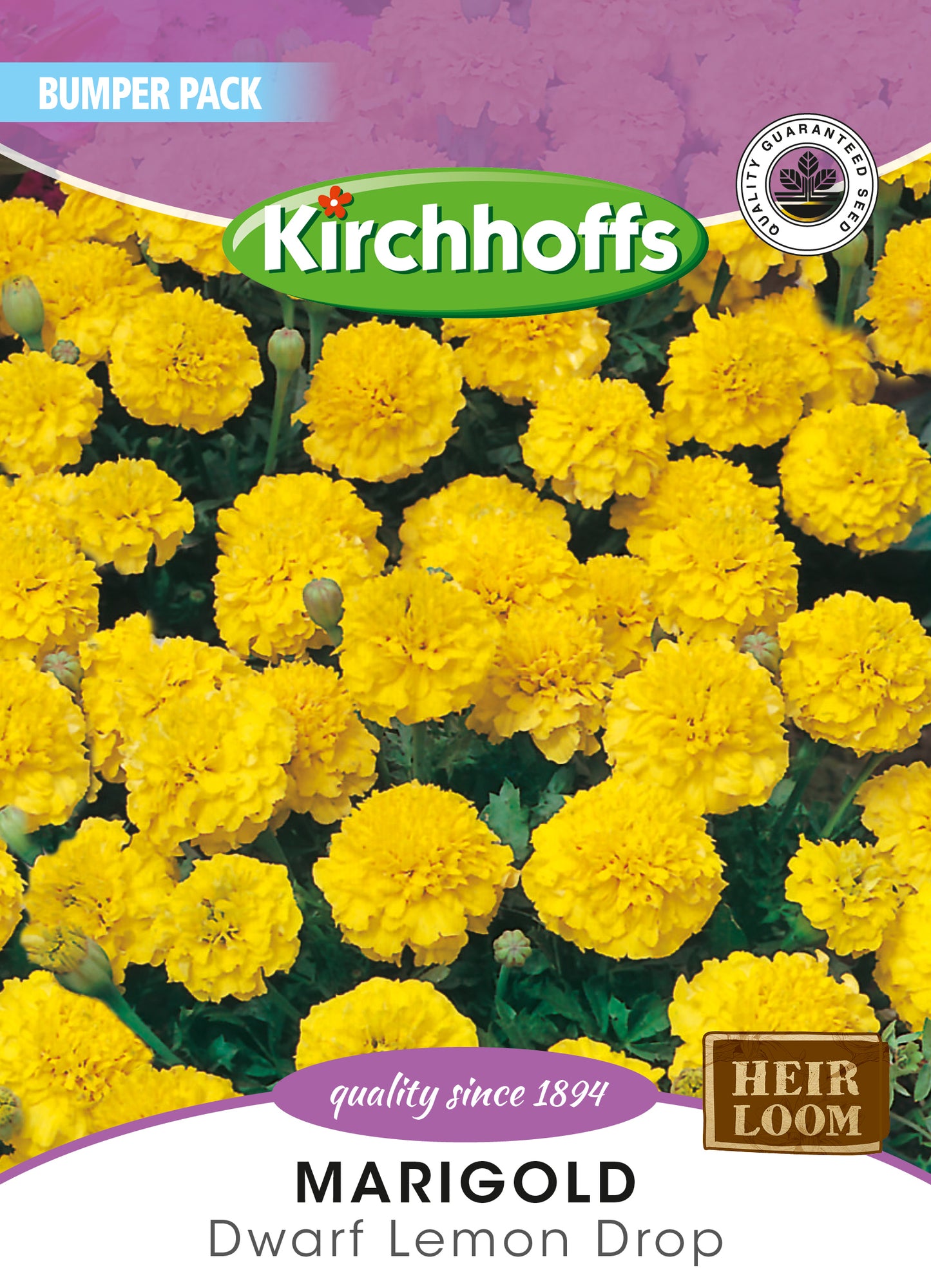 Marigold Lemon Drop Seed