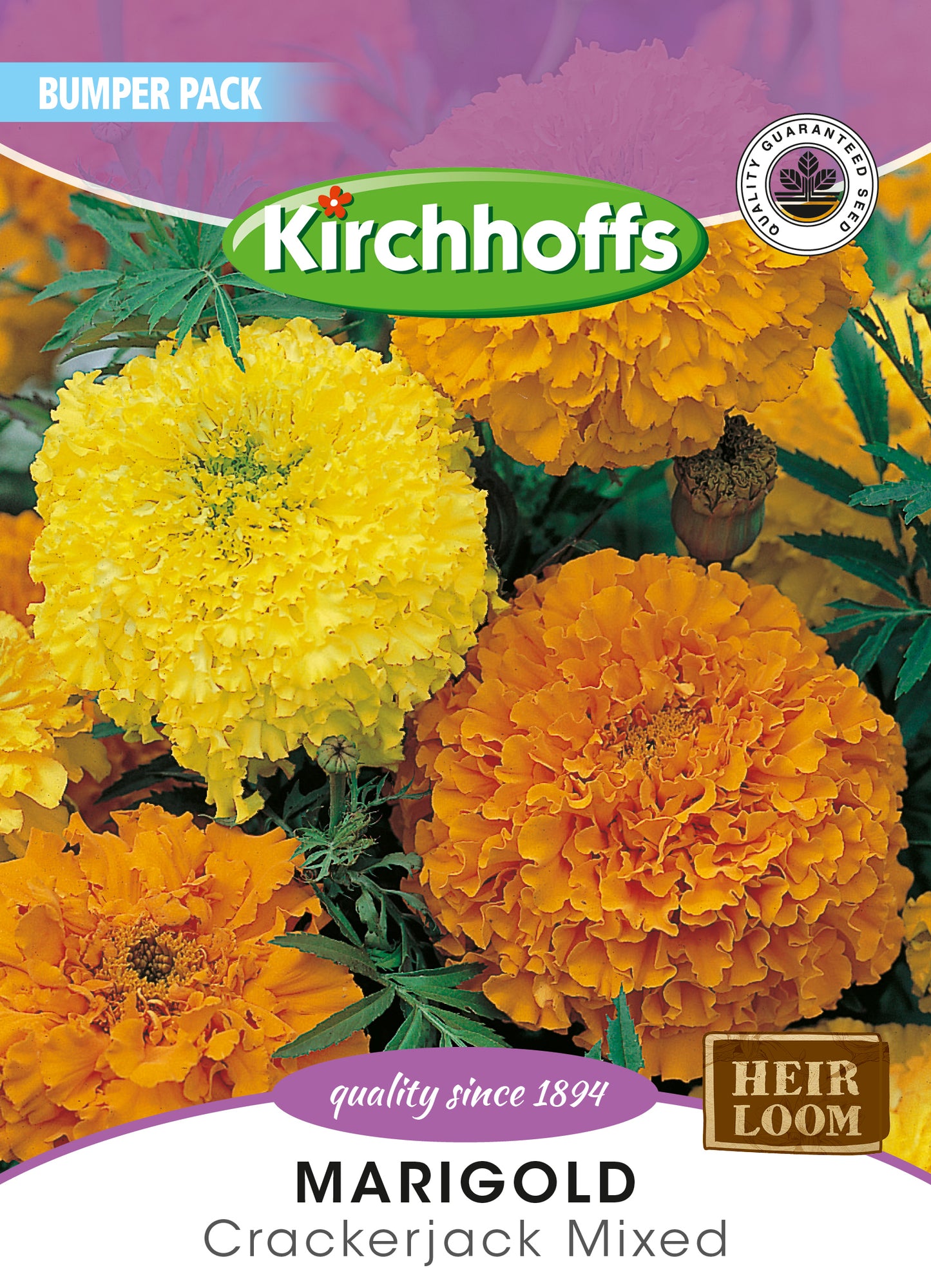 Marigold Crackerjack Mix Seed