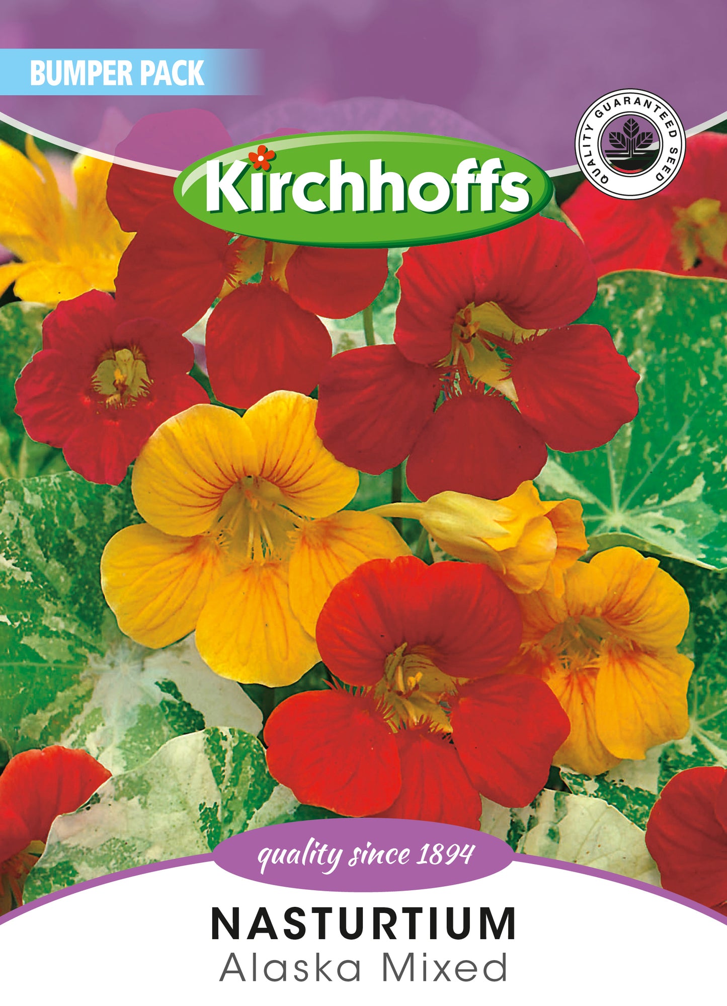 Nasturtium Alaska Mix Seed