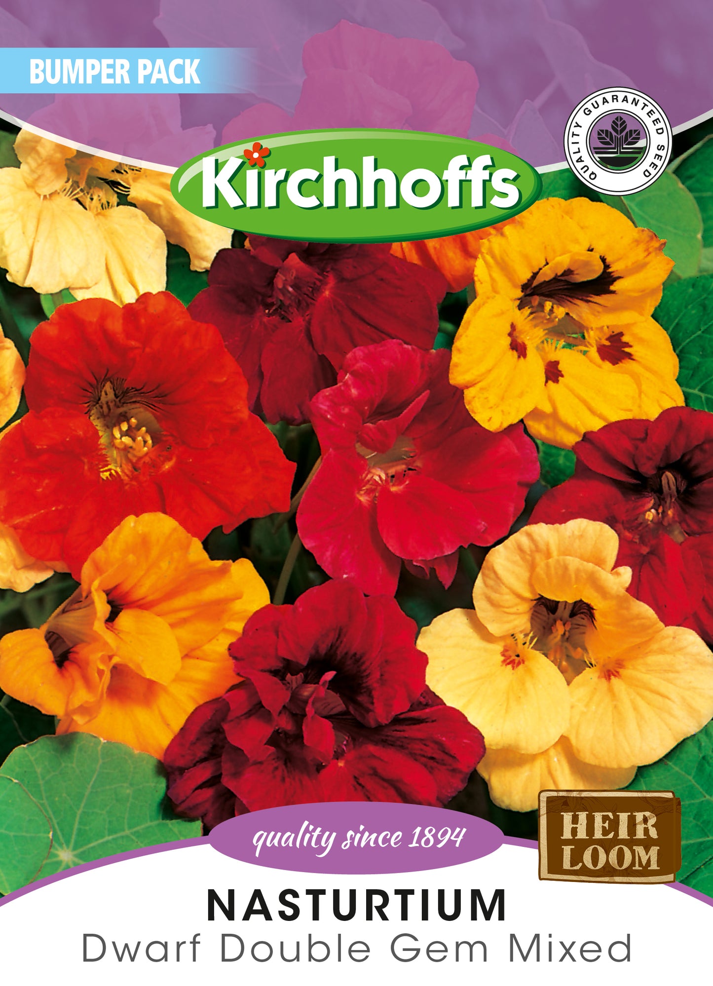 Nasturtium Jewel Choice Mix Seed