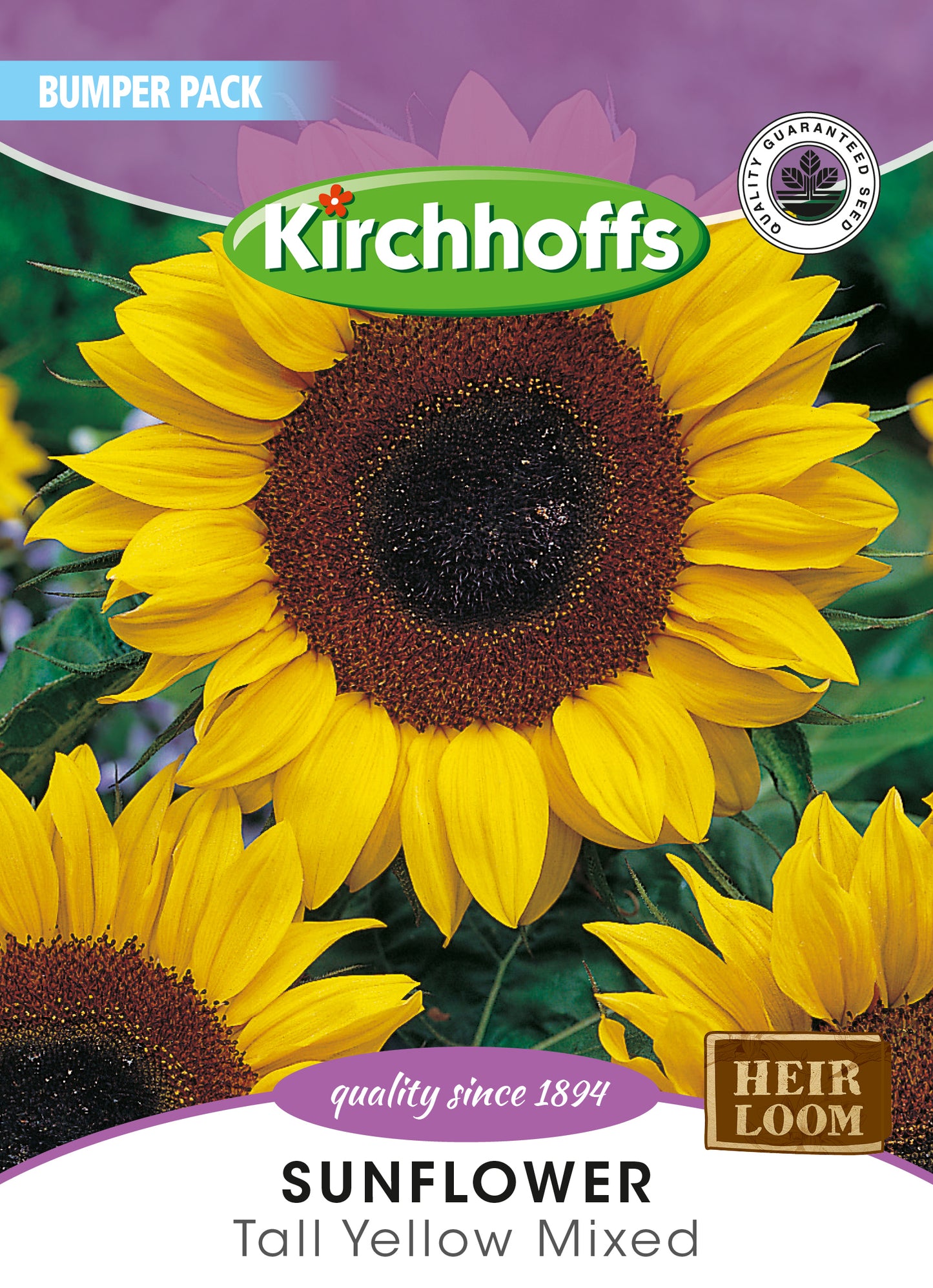 Helianthus Taiyo Seed