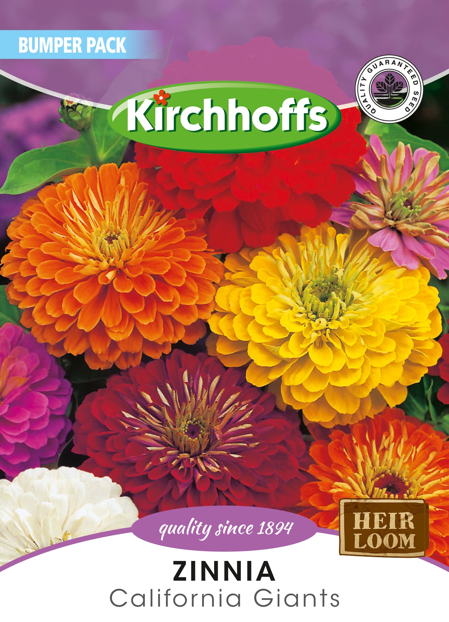 Zinnia Giant Of California Mix Seed