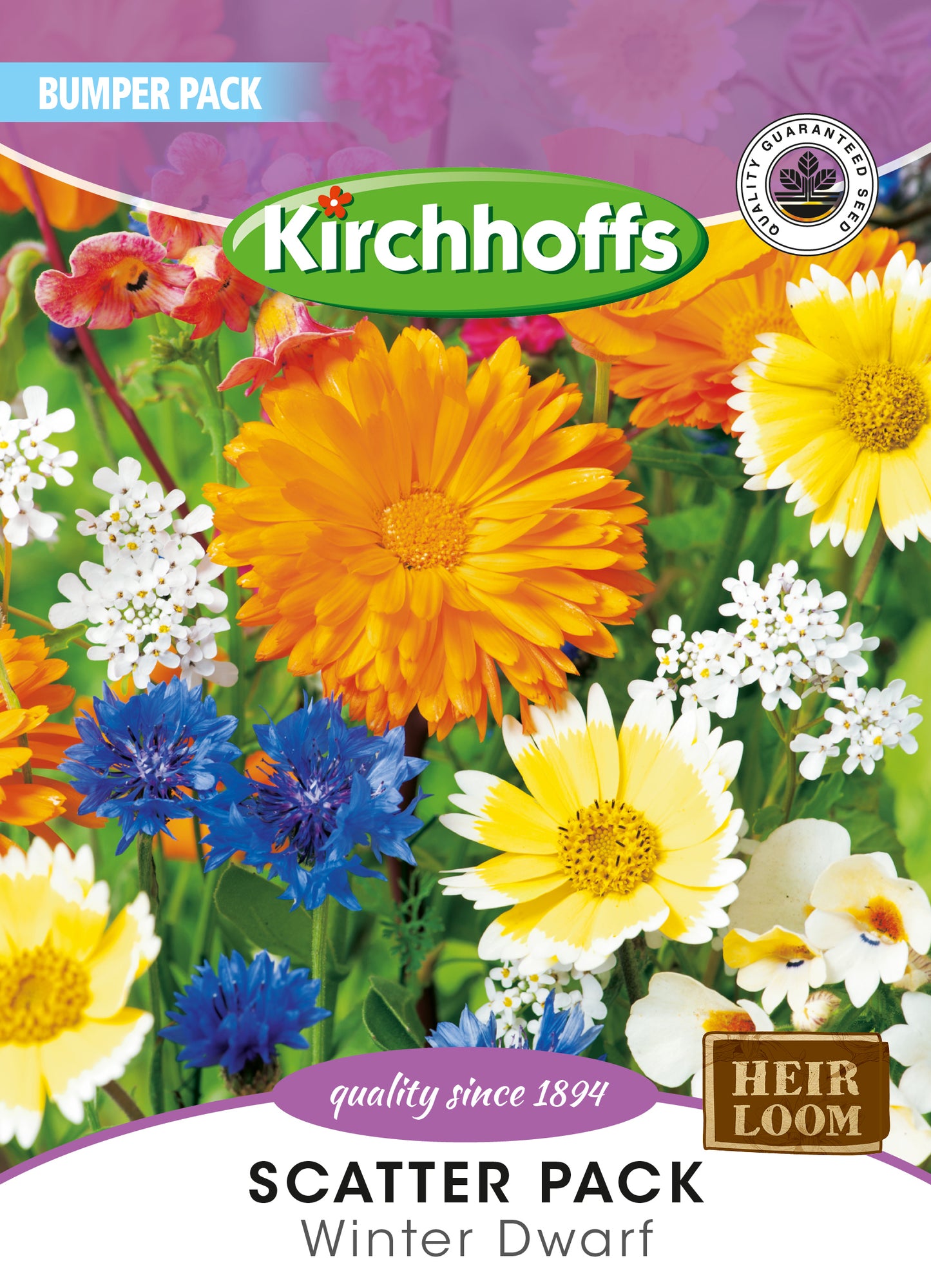 Colour Patch Winter Dwarf Mix Seed