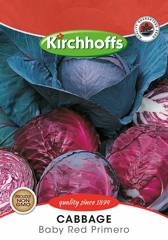 Cabbage Baby Red