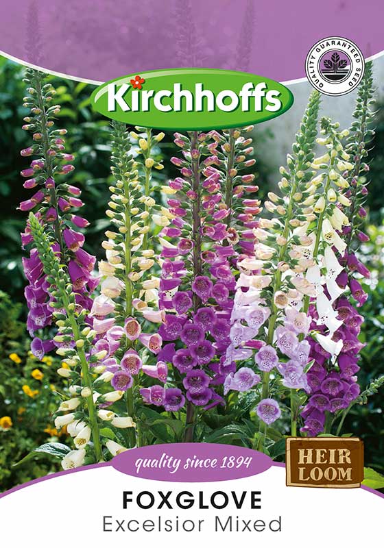 Foxglove Excelsior Mixed