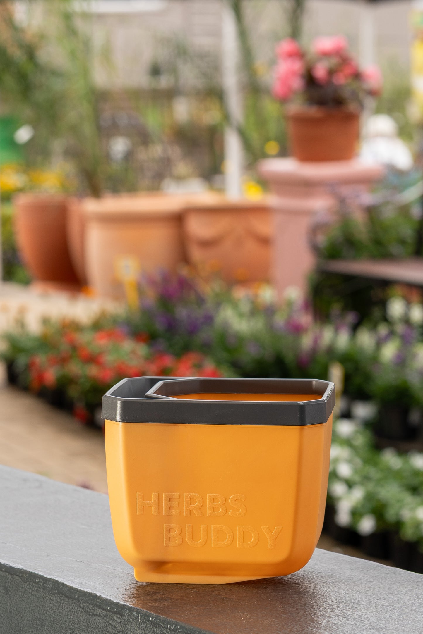 Gusta Herbs Buddy Planter
