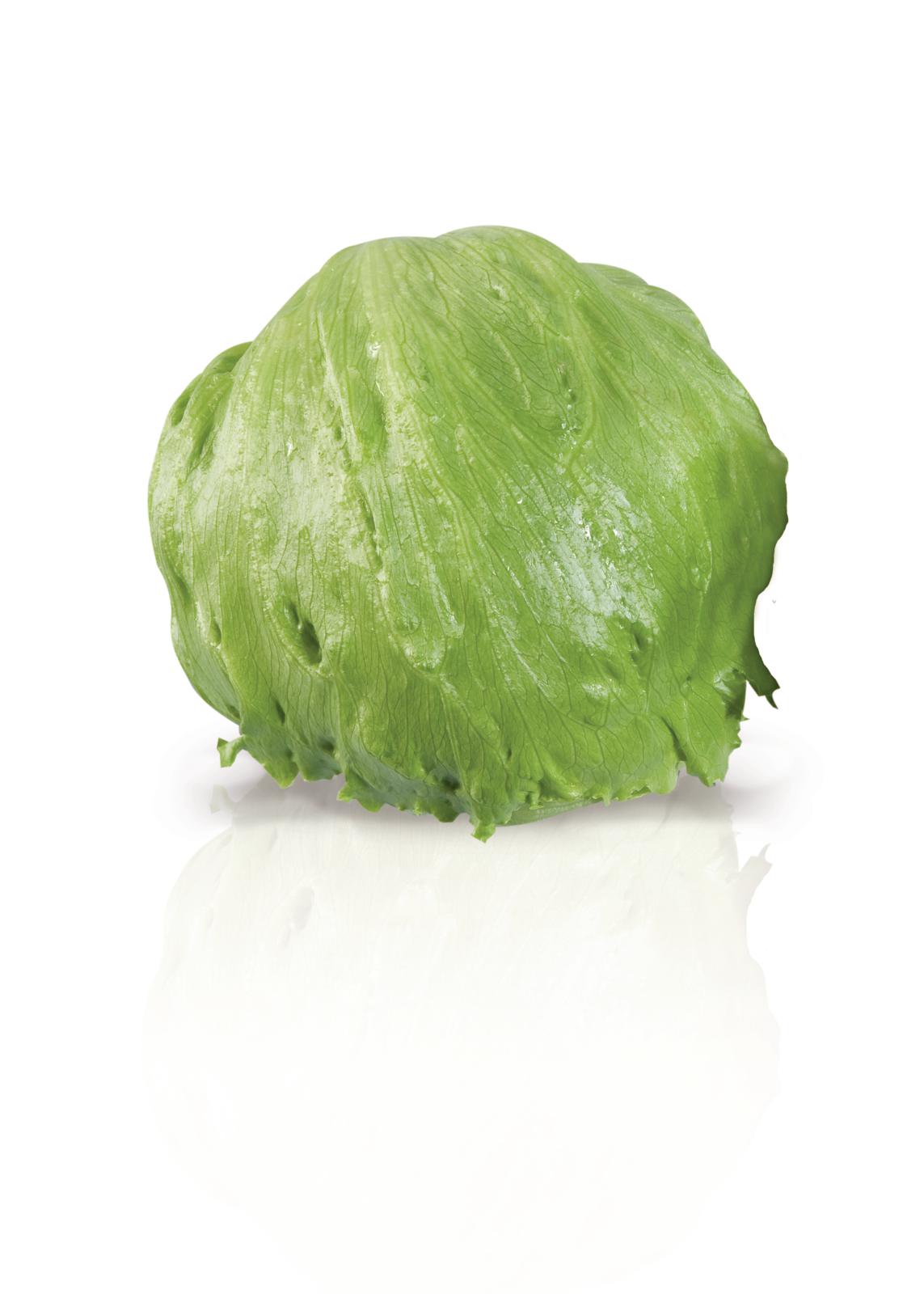 Lettuce Iceberg Winter Seed