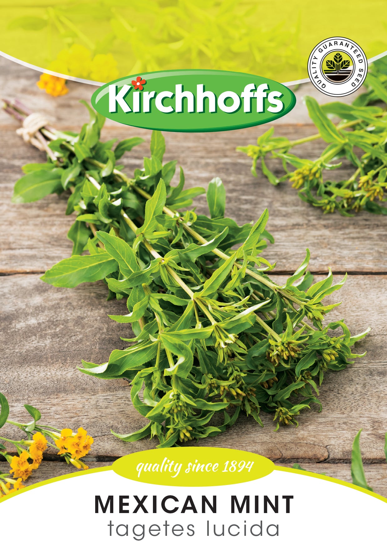 Marigold Mexican Mint