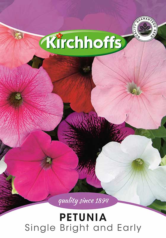 Petunia Single Bright & Early