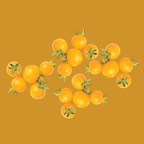 Tomato Currant - Gold Rush Seed
