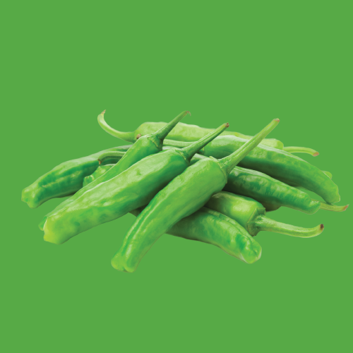 Capsicum Shishito Seed