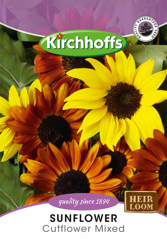 Sunflower Cutflower Mixed
