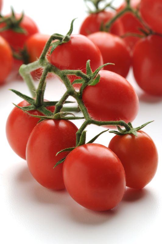 Tomato Topsy Tom F1 Seed