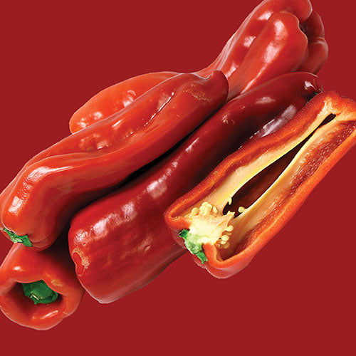 Capsicum Corno Di Toro Rosso Seed