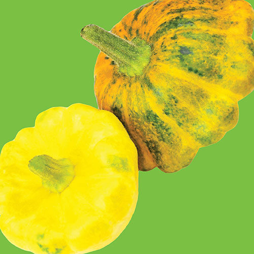 Squash Scallop Blend