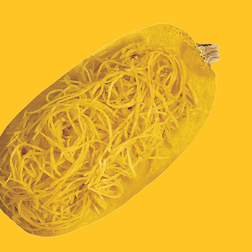 Squash Vegetable Spaghetti Seed