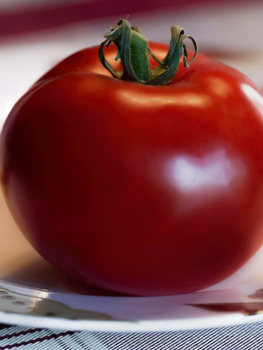 big red tomato