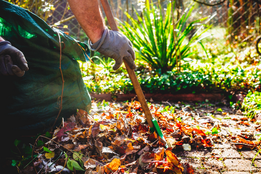 5 Practical tips to prepare your garden in Autumn