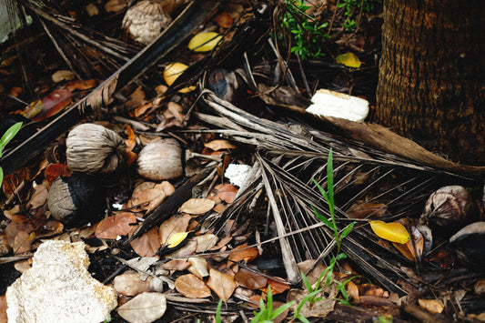 Start a compost heap this winter with Gro-Pak