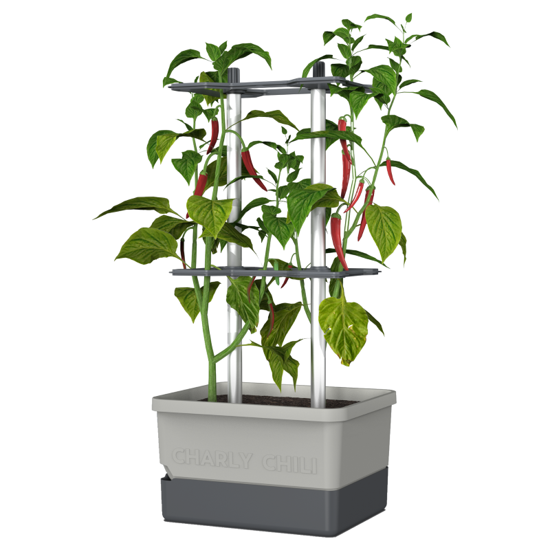 Gusta Charly Chilli Grey Planter