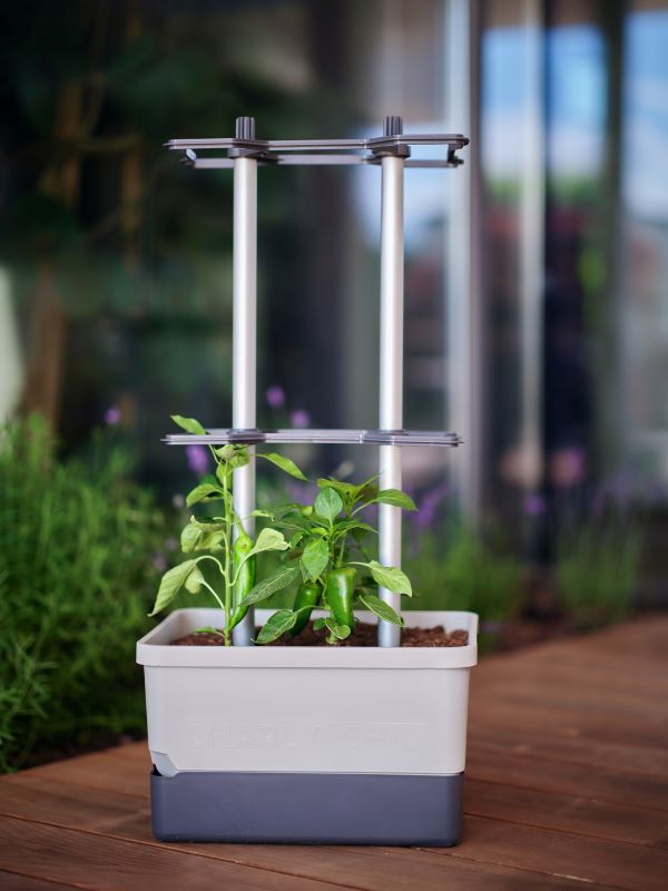 Gusta Charly Chilli Grey Planter