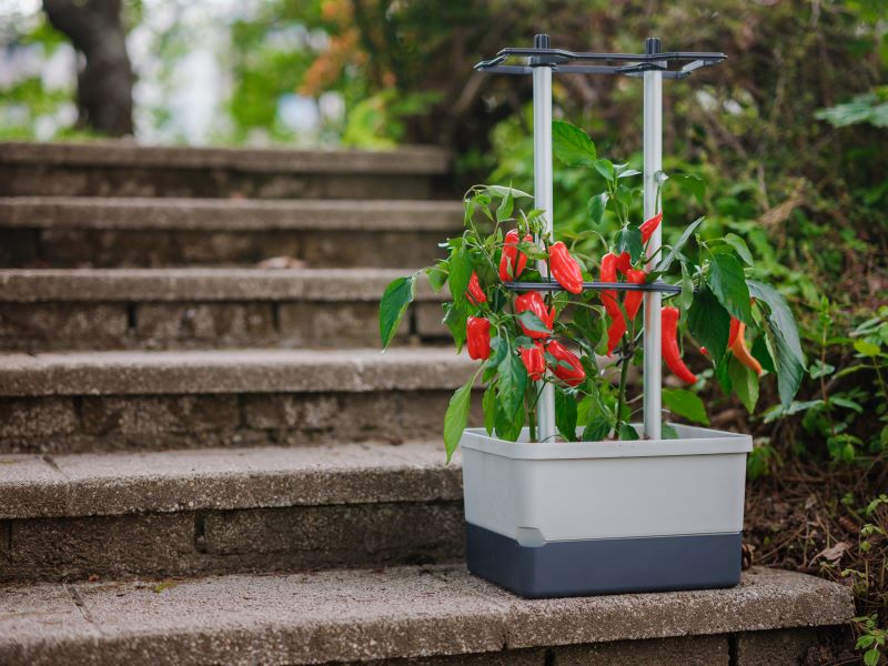 Gusta Charly Chilli Grey Planter