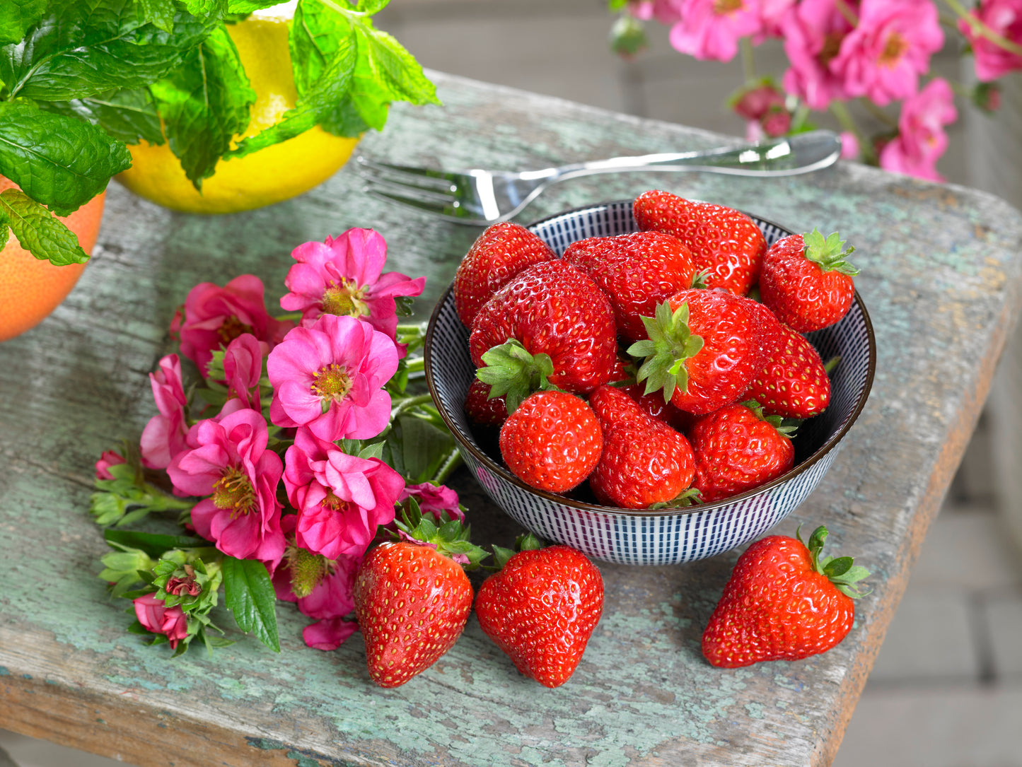 Delicious ripe red strawberries in bowl