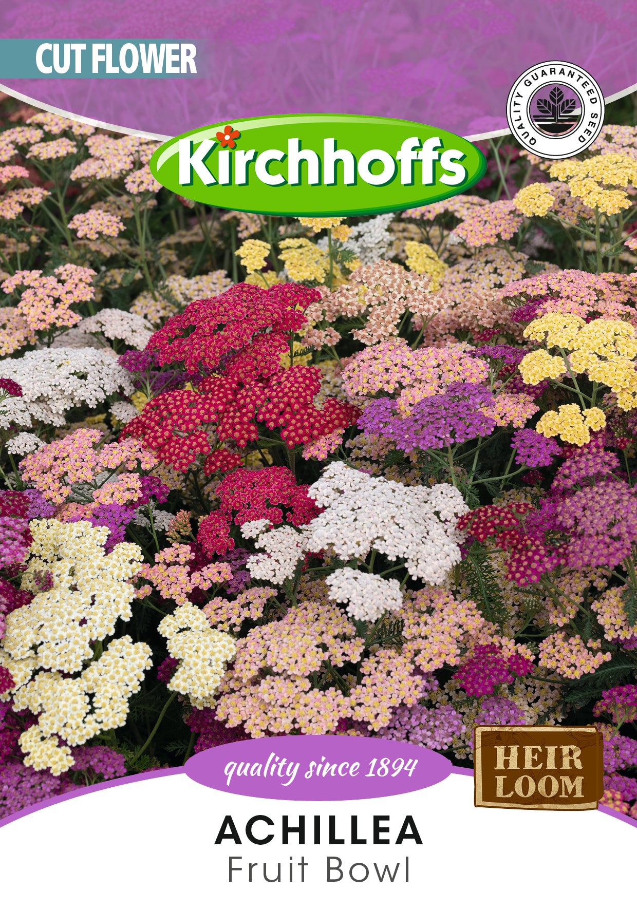 Achillea Flowerburst Fruitbowl Seed