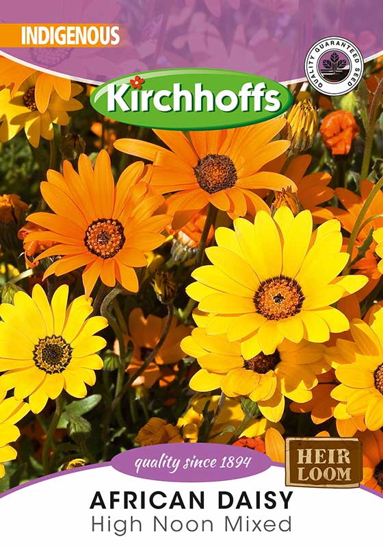 African Daisy High Noon Mix