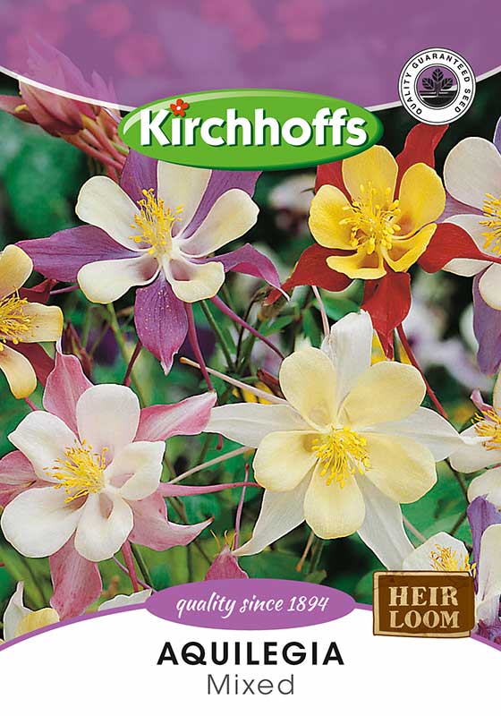 Aquilegia Mixed