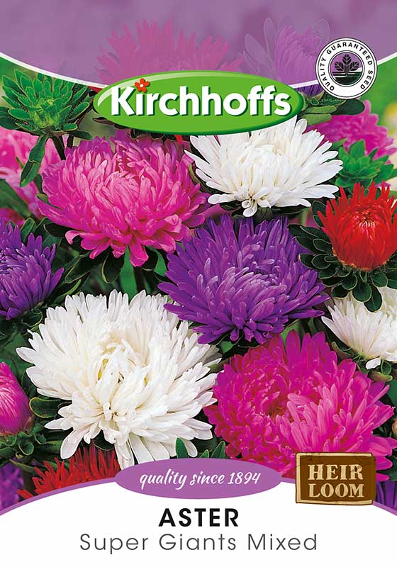 Aster Super Giants Mixed