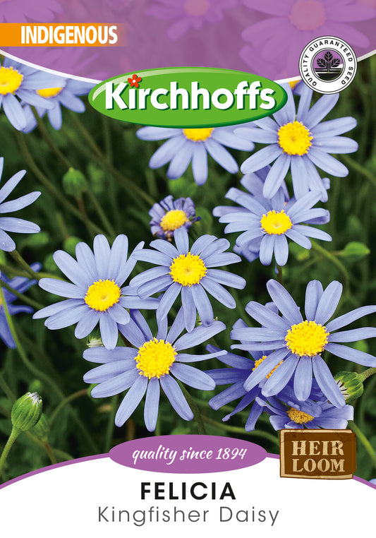 Felicia Blue Skies Seed