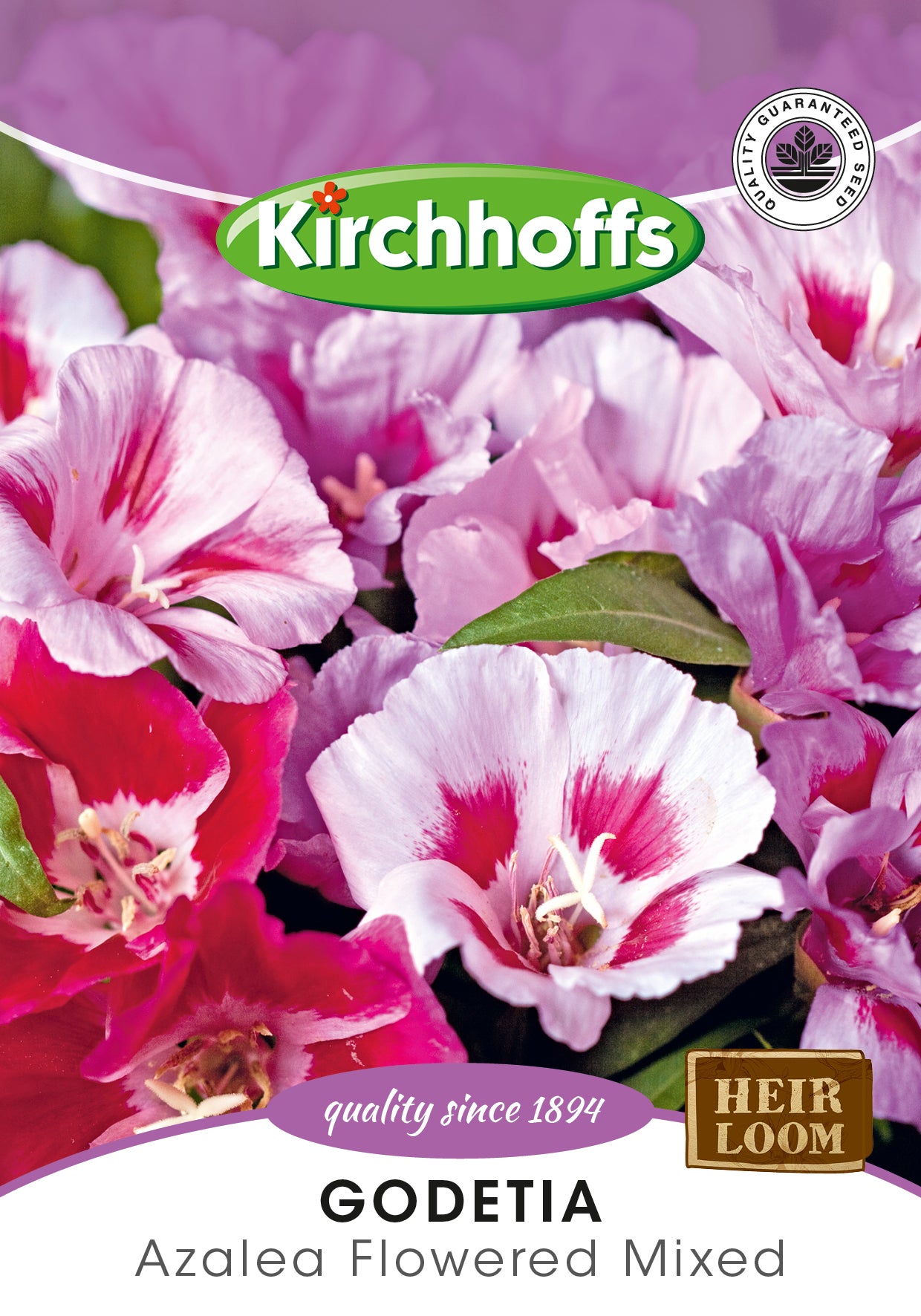 Godetia F1 Azalea Flowered Double Mix Seed