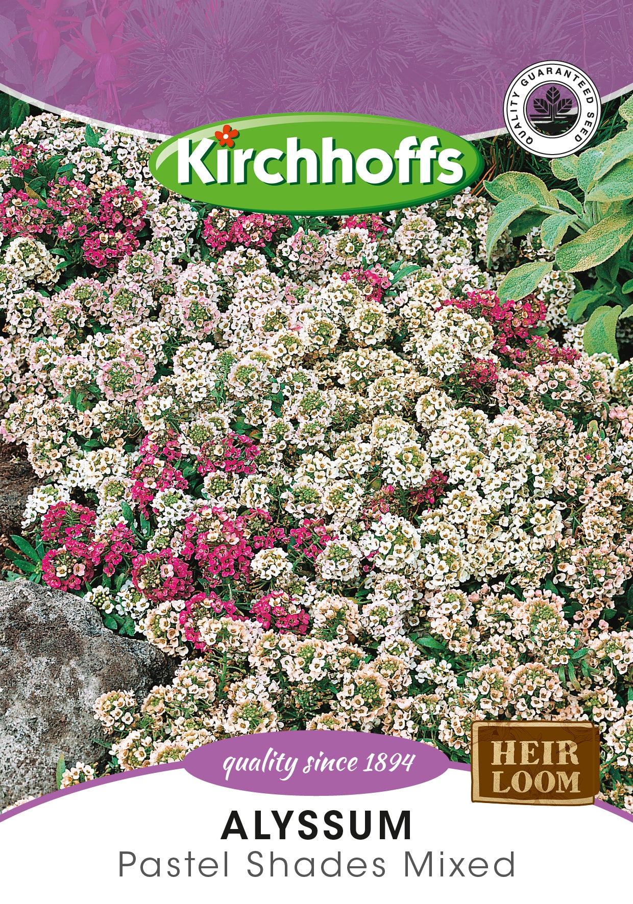 Alyssum Pastel Mix Seed