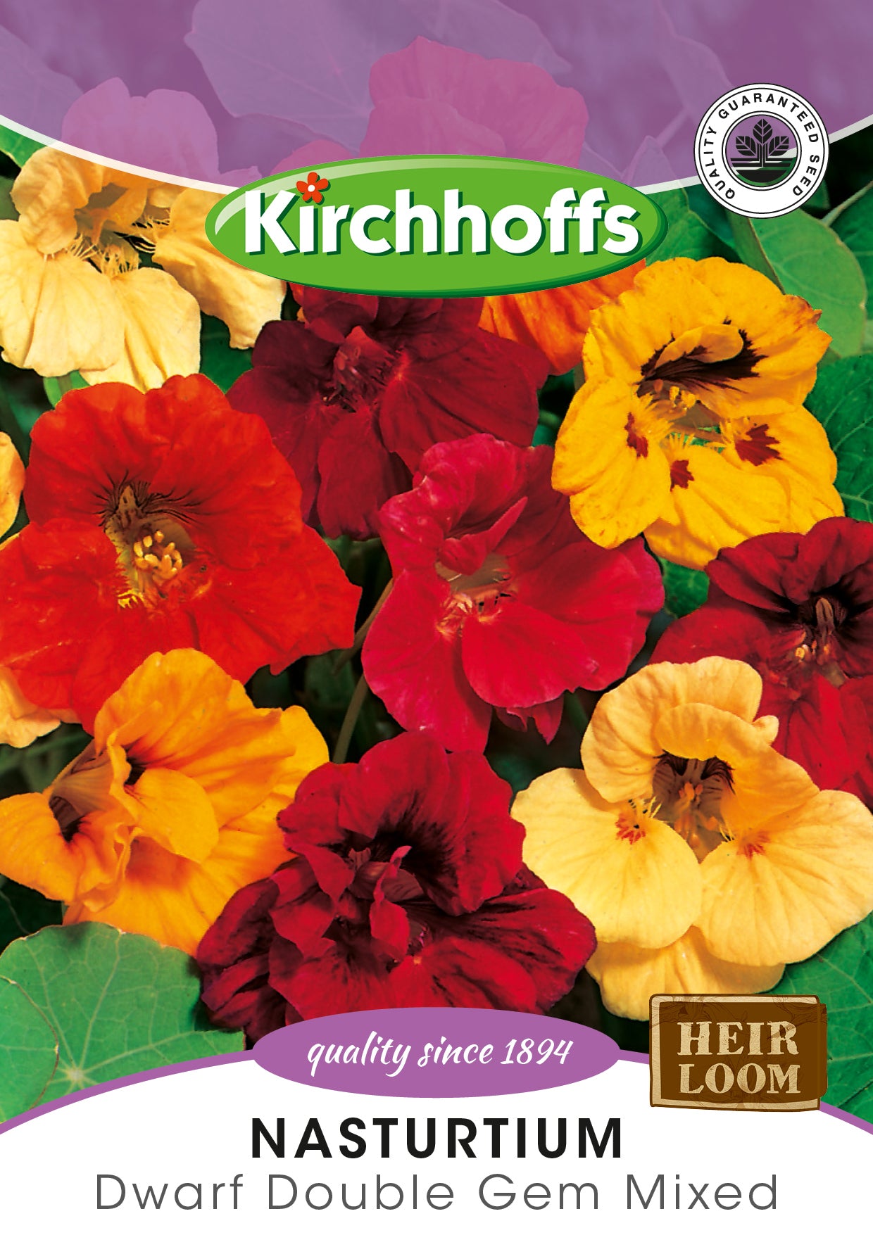 Nasturtium Jewel Choice Mix Seed