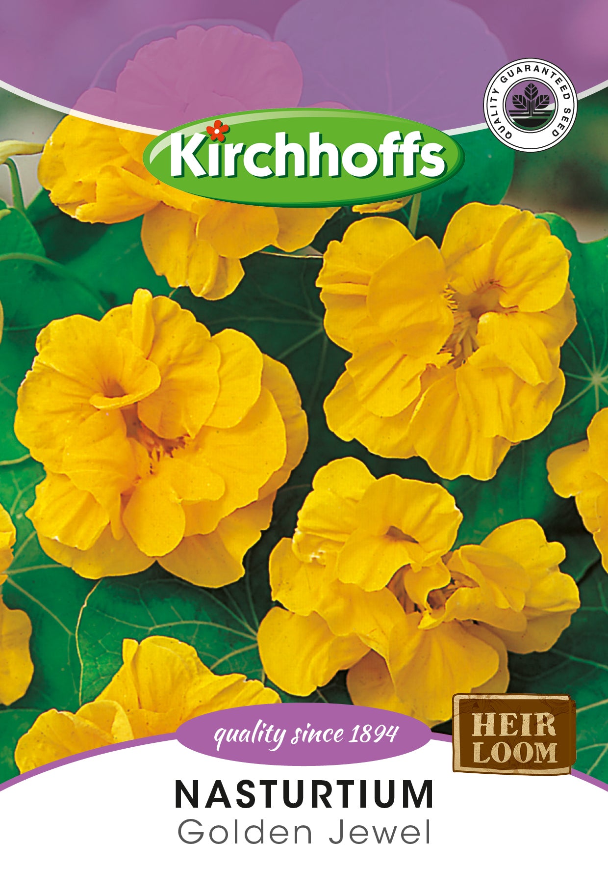 Nasturtium Golden Globe Seed