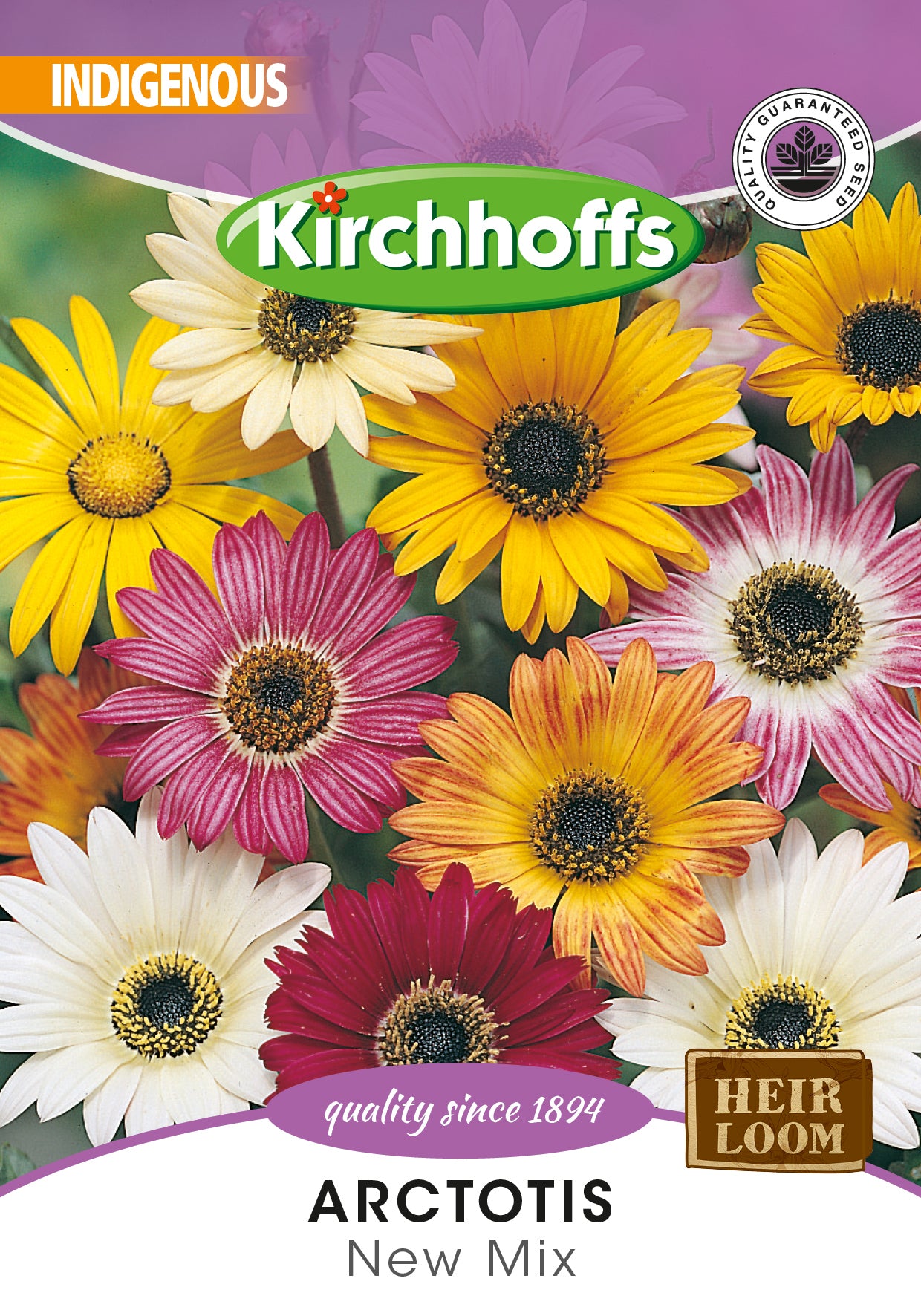 Arctotis Harlequin Mix Seed