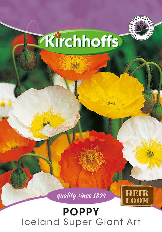 Poppy Artist Glory Mixed Seed