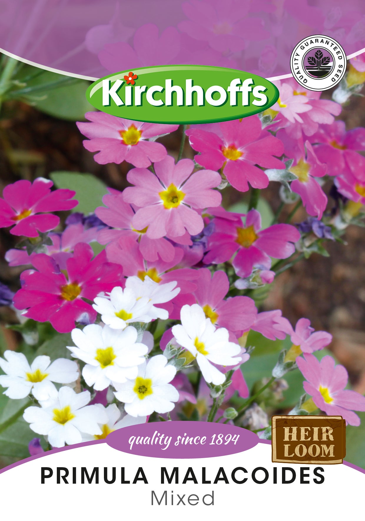 Primula Malacoides Mix Seed