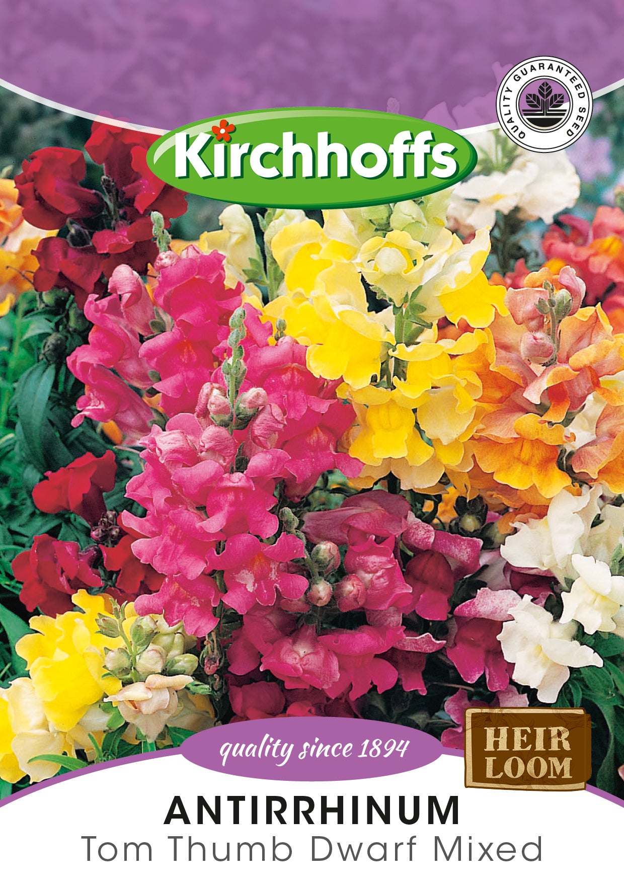 Antirrhinum Tom Thumb Mix Seed