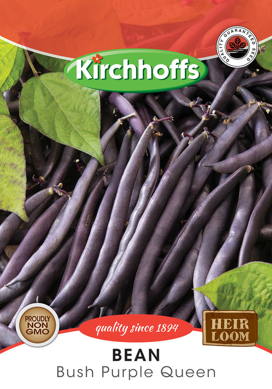 Beans Purple Queen Dwarf Seed