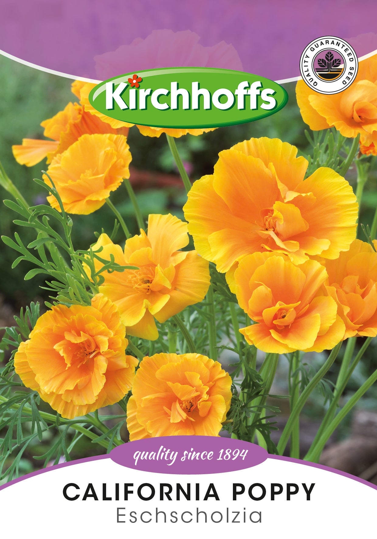 Escholtzia Mission Bell Mix (California Poppy) Seed