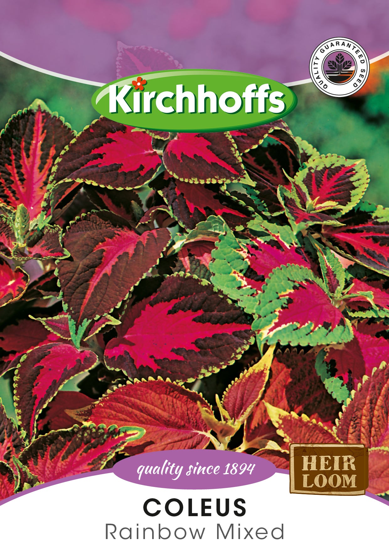 Coleus Rainbow Mix Seed
