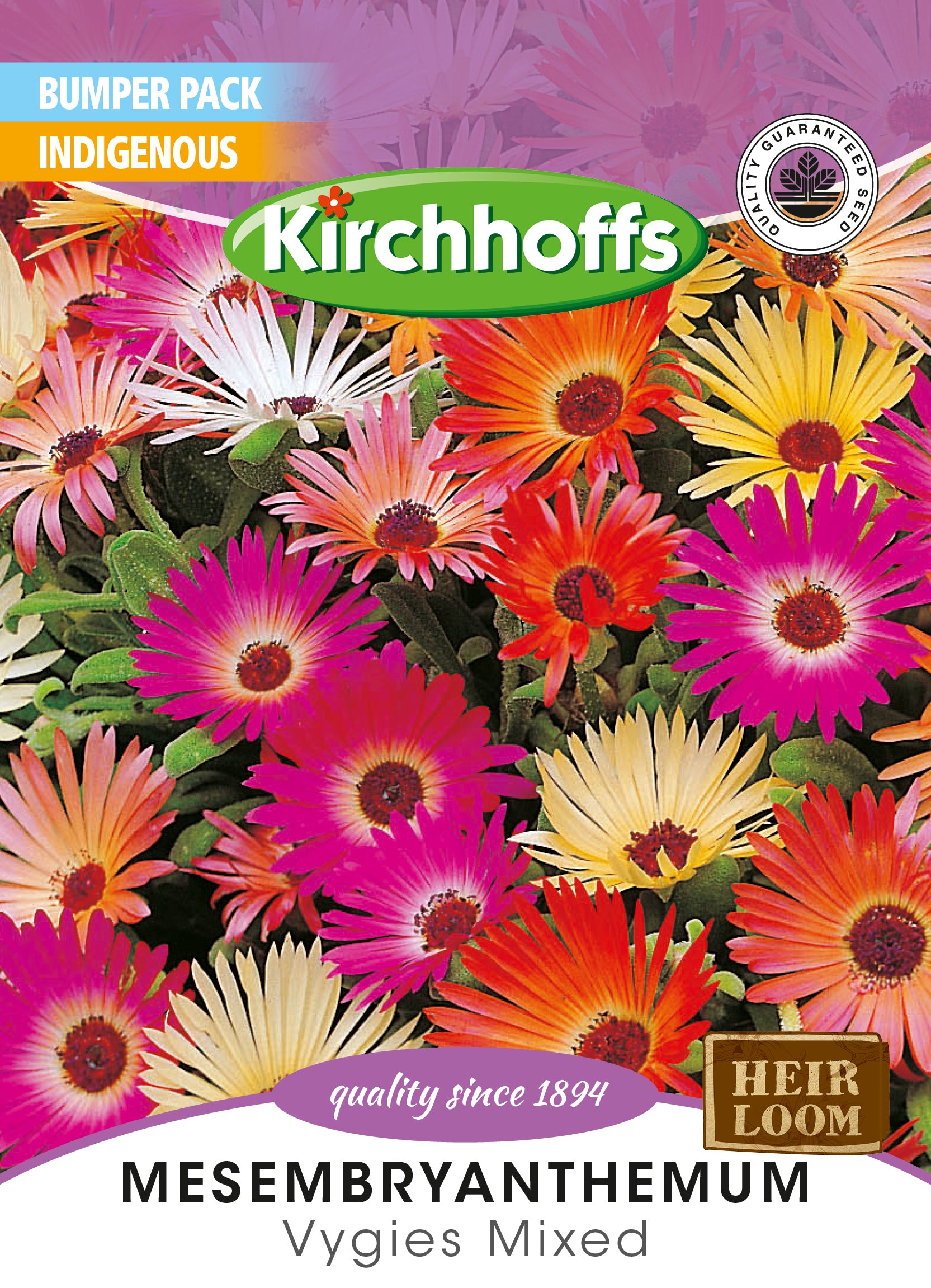 Mesembryanthemum Mixed Seed